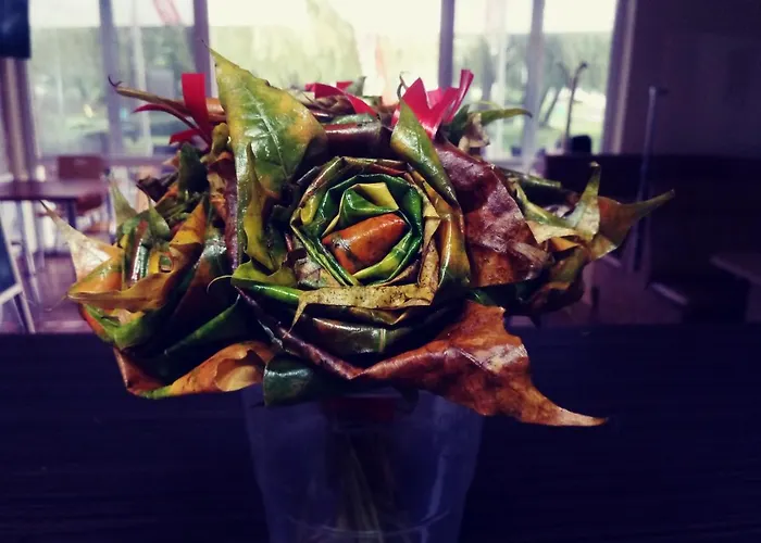 Maja Nocleg ze śniadaniem Mielno (Koszalin)